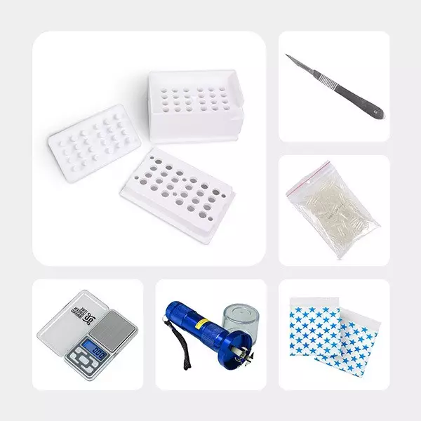 Kit de microdosage de psilocybine Pro