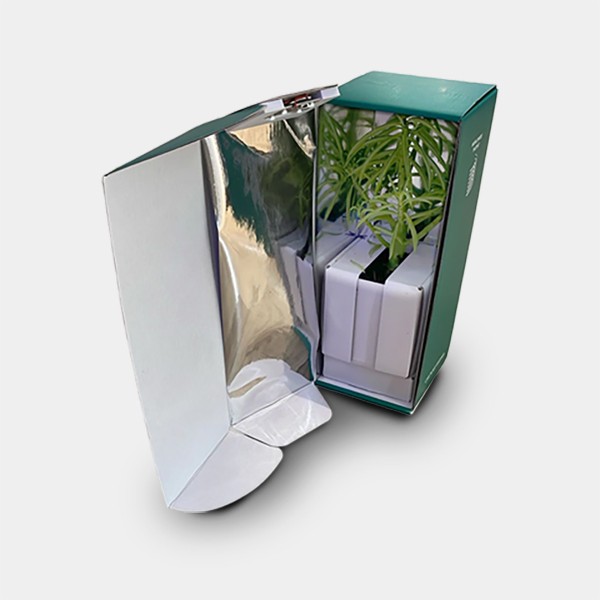 Voir Boîte de transport pour boutures ouvertes