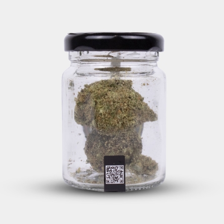 🌿 Fleurs CBD Durban Poison Cocori Kush