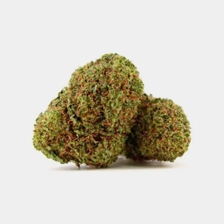 Fleurs CBD North Thunderfuck Cocori Kush ⚡