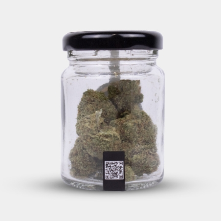 Fleurs CBD North Thunderfuck Cocori Kush ⚡
