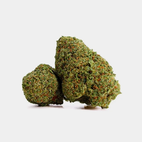 Fleurs CBD X Haze Cocori Kush bourgeon