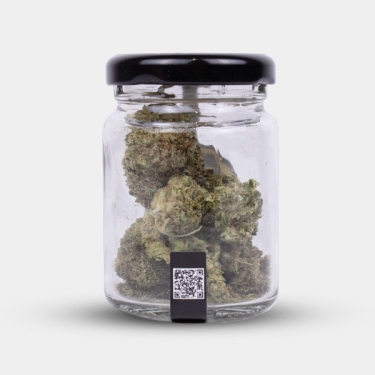 Fleurs CBD X Haze Cocori Kush pot