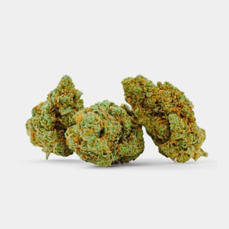 Manley Kush : Fleurs de CBD californiennes au caractère oriental