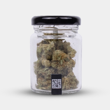 Manley Kush : Fleurs de CBD californiennes au caractère oriental