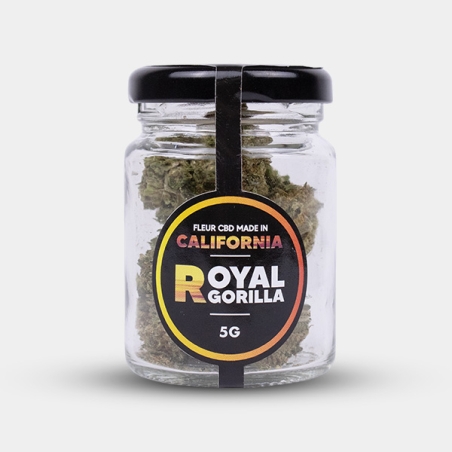 Force et caractère avec les fleurs de CBD Royal Gorilla