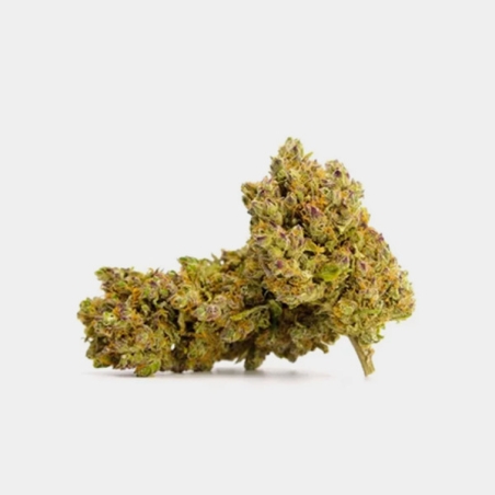 Force et caractère avec les fleurs de CBD Royal Gorilla