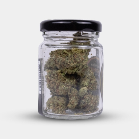 Force et caractère avec les fleurs de CBD Royal Gorilla