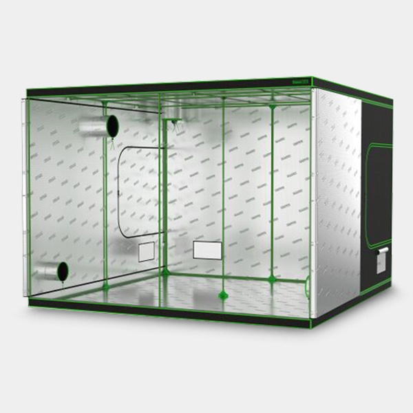 Voir Chambre de culture Dark Box 300x150x220