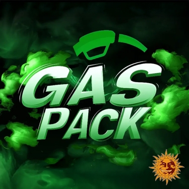 Gas Pack Strains Barney’s Farm
