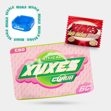 Kit Perfect Match