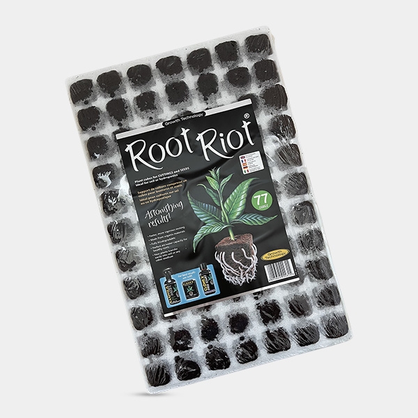 Root Riot Clonex - Cubes de bouturage - Grow Barato