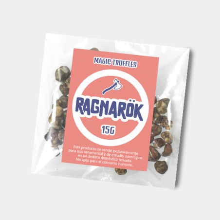Truffes magiques Ragnarok | Haute intensité et caractéristiques