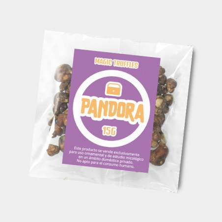 Truffe Pandora ⇨ Puissante et Mystique 🔮 Psychédélique