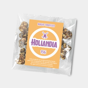 Truffes Hollandia 15 g 💥 Haute puissance. Expédition rapide