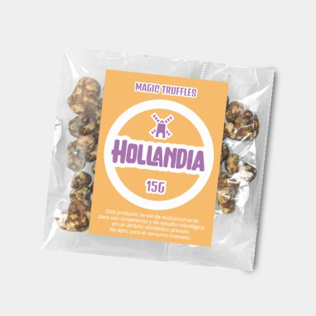 Truffes Hollandia