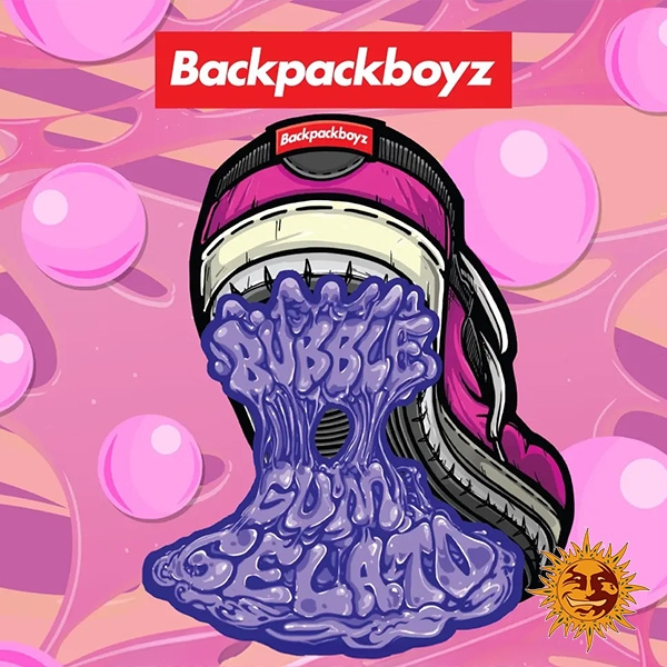 Voir Bubblegum Gelato (Barney's x Backpack Boyz) - Growbarato
