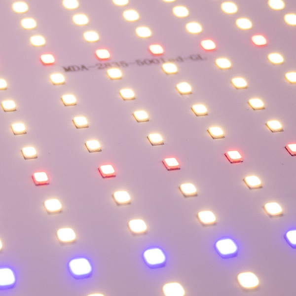 Panneau LED 50 W Full Spectrum SG-Q50W pour culture en intérieur