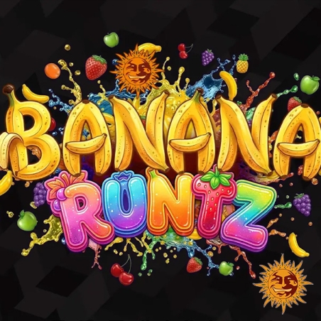 Banana Runtz F1 Hybrid : aspect