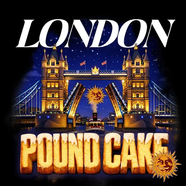 London Pound Cake F1 Hybrid : description