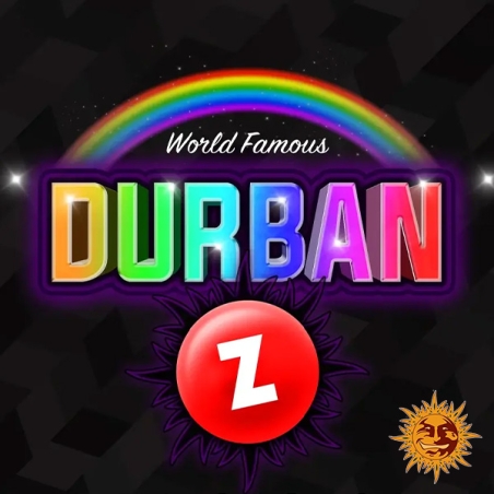 Durban Z F1 Hybrid