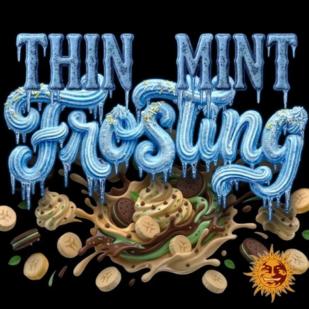 Thin Mint Frosting F1 Hybrid : description