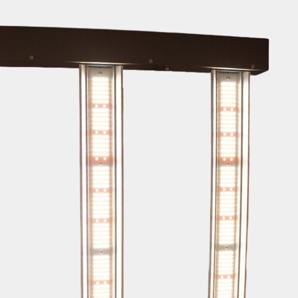JUNE CORELUX Hortilight LED 720 W | GB The Green Brand