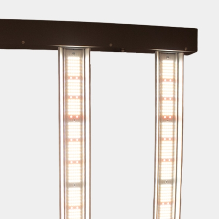 JUNE CORELUX Hortilight LED 720 W | GB The Green Brand