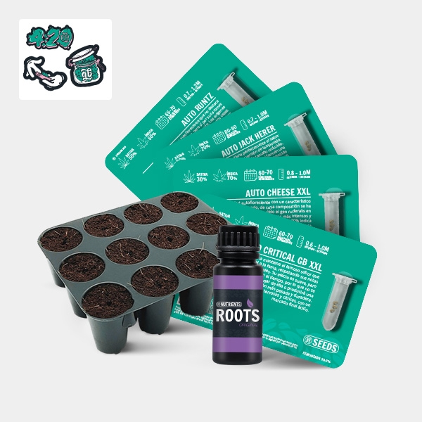 Voir GB Seeds Box - GB The Green Brand