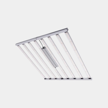 LED Spider King 1000 W Vanguard Hydroponics | GB