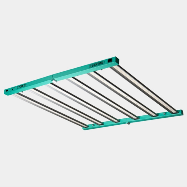 Kit Complet Expert 120x120 - GB The Green Brand
