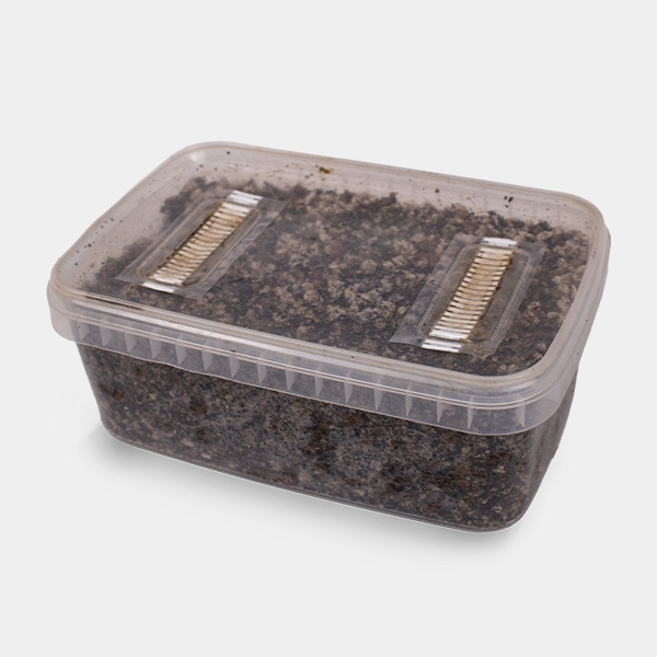 Voir Substrat pour Champignons magiques - GB The Green Brand