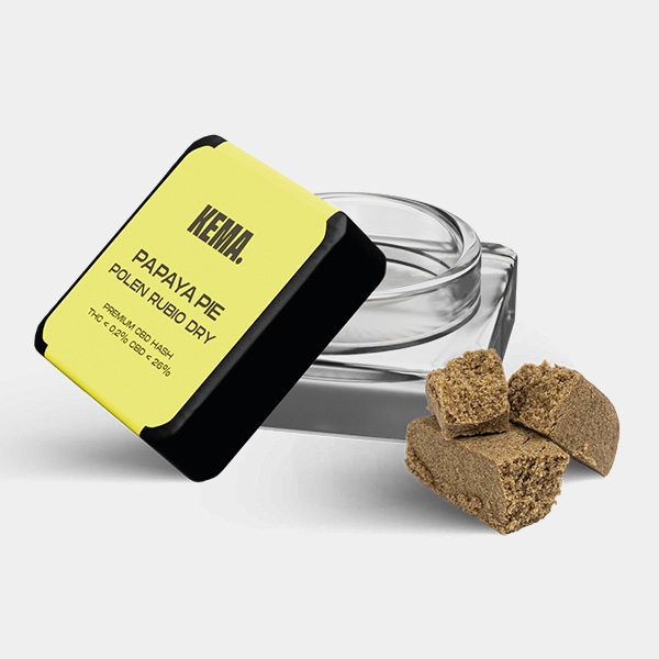 Kit KEMA Trip | Kit fumeur coloré et jeune 🚬