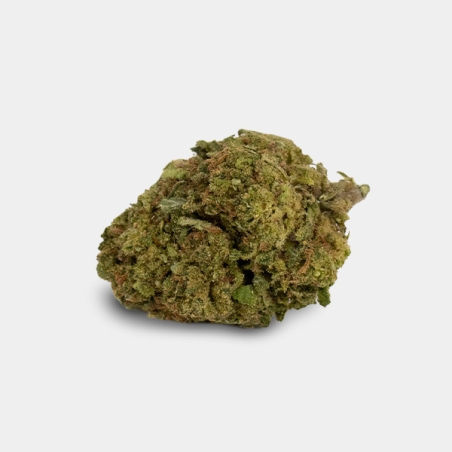 Fleurs CBD GB Outdoor 'Moby Dick' - GB The Green Brand