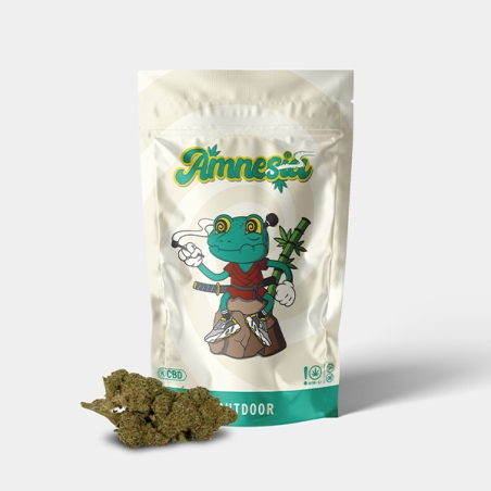 Fleurs CBD GB Outdoor 'Amnesia' - GB The Green Brand