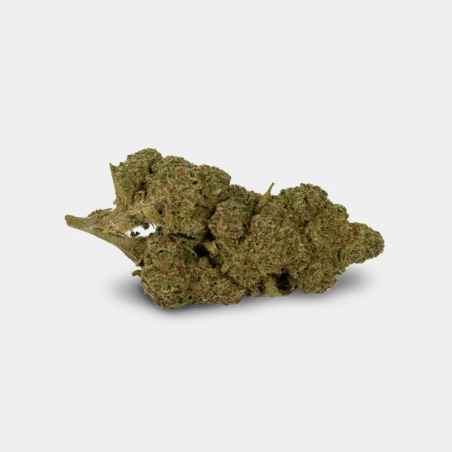 Fleurs CBD GB Outdoor 'Amnesia' - GB The Green Brand
