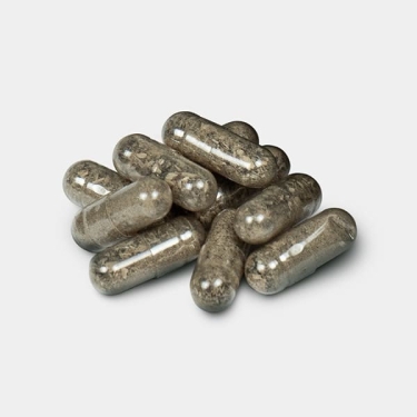 Gélules microdoses de psilocybine