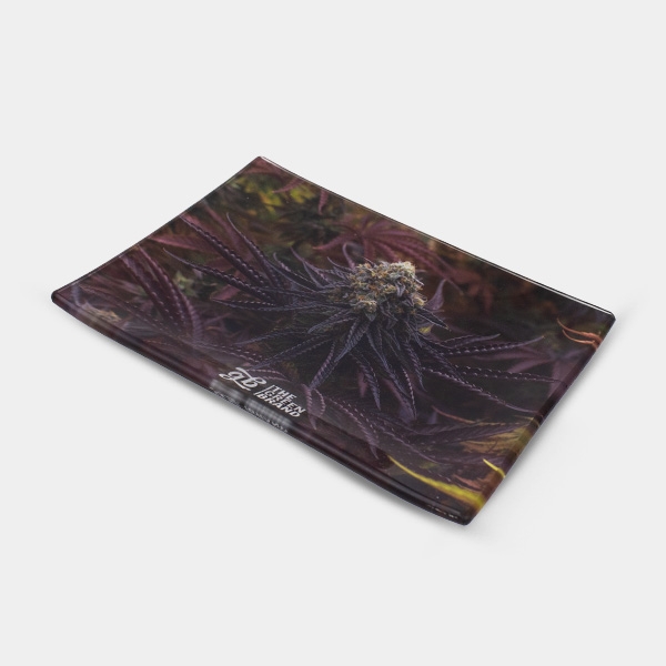 Plateau en verre GB Oreoz 16x12