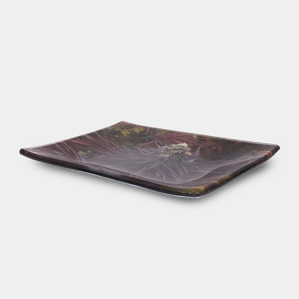 Plateau en verre GB Oreoz 16x12