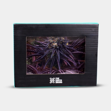 Plateau en verre GB Oreoz 16x12
