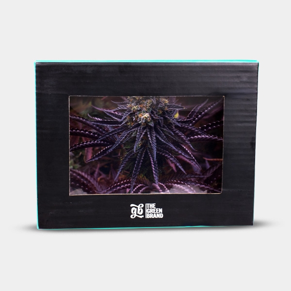Plateau en verre GB Oreoz 16x12