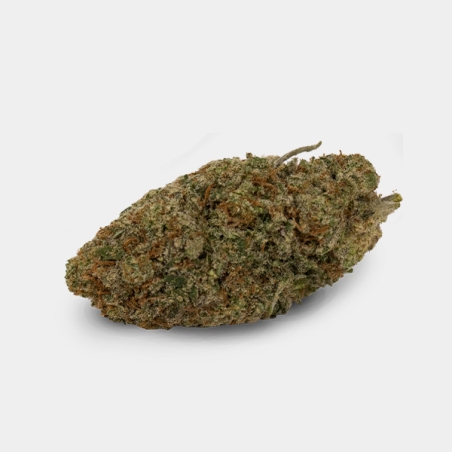 Fleurs Apple Bananas Cali CBD KEMA 18 %