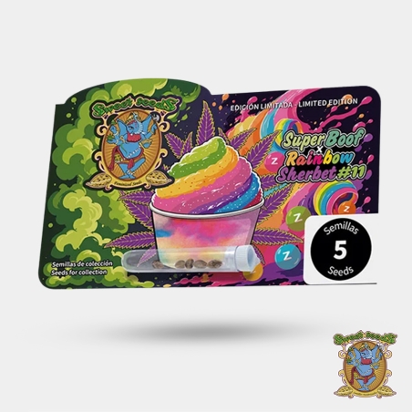 Pack de graines Super Boof x RS11 Sweet Seeds