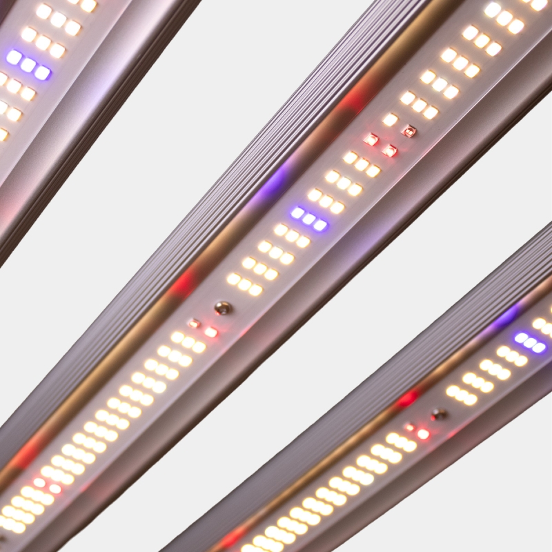 Système LED dimmable 300 W Black Ultra GB Lighting, barre allumée