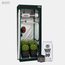 Kit Complet Basique 60x60 - GB The Green Brand