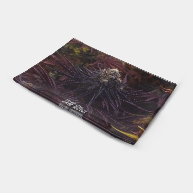 Kit Oreoz | Le pack le plus complet pour les fans d'Oreoz