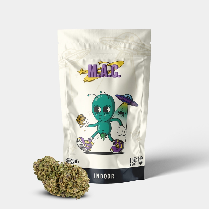 Kit Alien | Bang, fleurs de CBD et plateau GB