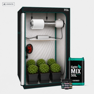 Kit complet pour débutant 80x80 - GB The Green Brand
