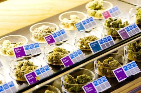 Actualités sur le cannabis