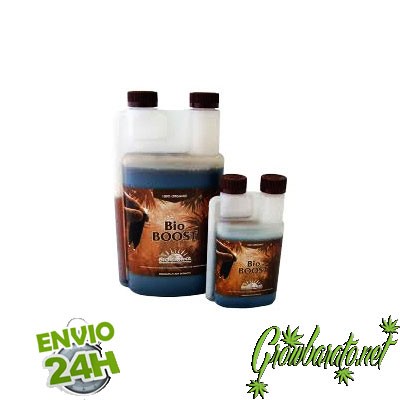 stimulez la floraison de vos plantes de cannabis